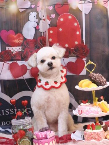 20250220ヌンくん